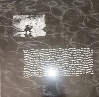 Vinilo LP Nirvana Nevermind 1991