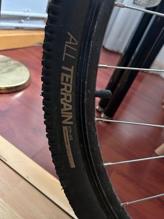 Bicicleta MTB Travesía EXPL 50 Gris Oscuro