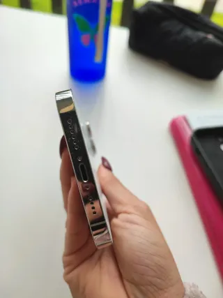 iPhone 14 Pro Max Argento