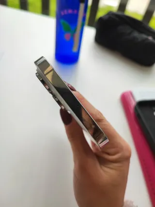 iPhone 14 Pro Max Argento