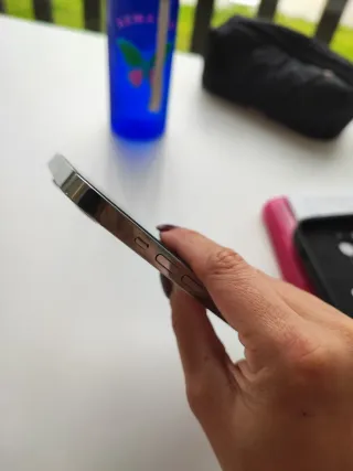 iPhone 14 Pro Max Argento