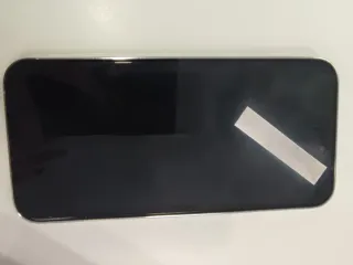 iPhone 14 Pro Max Argento