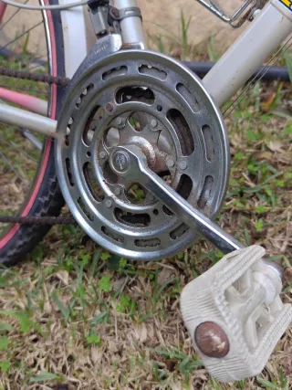 Bicicleta Clásica Confersil 21v Made in Portugal