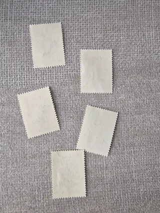 San Marino - Set 5 Francobolli Fiori