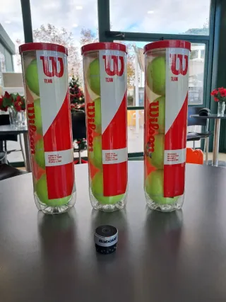 Kit Tenis: 12 Pelotas Wilson + Overgrip