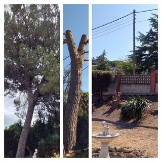 TECNOBOSC SERVICIOS FORESTALES Y JARDINERIA