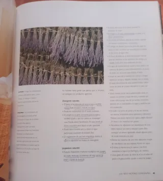 LA CASA SANA-Cómo Saber Que su Casa Ejerce una..