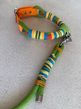 Collar y correa para perro multicolor