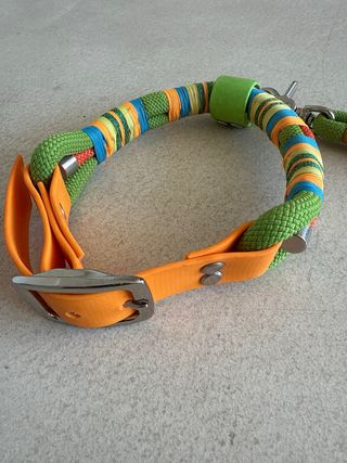 Collar y correa para perro multicolor