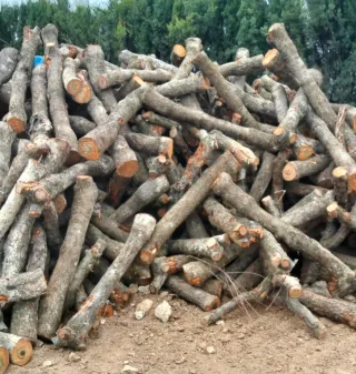 Leña de Almendro - Venta a Domicilio