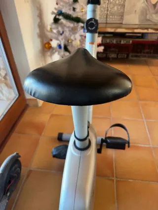 Bicicleta Estática Gris