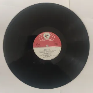 Pink Project Domino 2xLP Vinile 1982