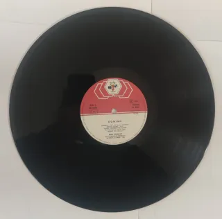 Pink Project Domino 2xLP Vinile 1982