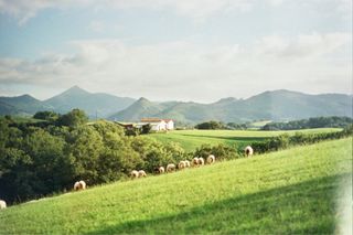 Canon AE-1 con objetivo 50mm f/1.8