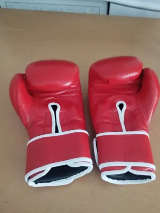 Guantes de Boxeo La Familia 14 oz