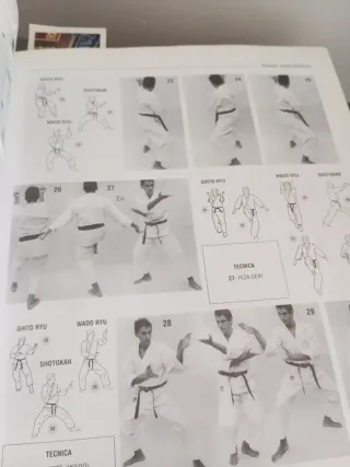 Libro Karate mucho más que un deporte
