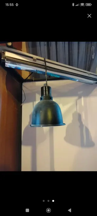 Terrario negro y transparente