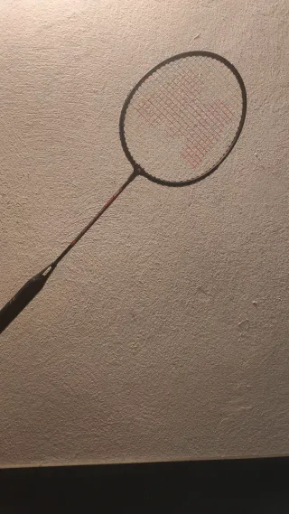 Raqueta de bádminton Meyer con funda y pluma