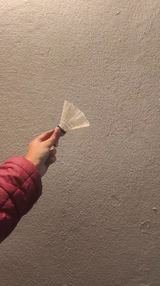 Raqueta de bádminton Meyer con funda y pluma