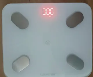 Báscula digital Gason