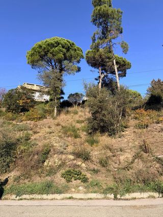 Terreno en Maçanet de la Selva