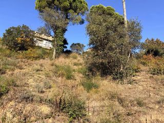 Terreno en Maçanet de la Selva