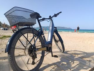 Bicicleta Eléctrica Trek Paseo 2025