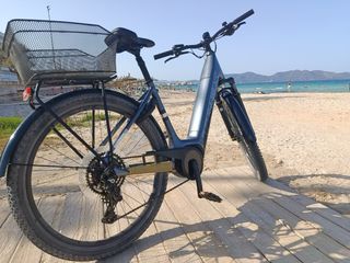 Bicicleta Eléctrica Trek Paseo 2025