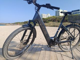Bicicleta Eléctrica Trek Paseo 2025
