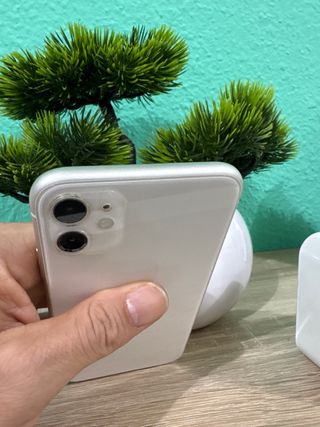 Struttura iPhone 11 e componenti