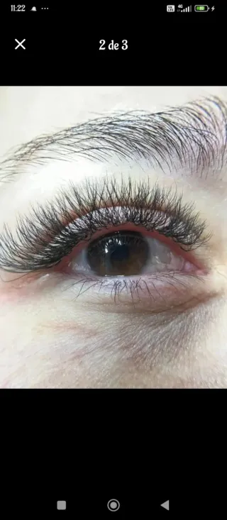 pestañas volumen, diseño, depilación y tinte de ce
