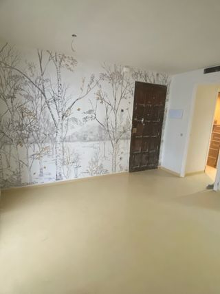 Servicios de pintura profesional