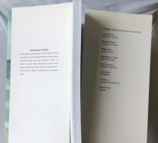 ATLANTIDA Libro de MARGARIDA ARITZETA