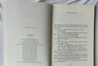 EL NOI DE LA MOTO Libro de S.E. HINTON