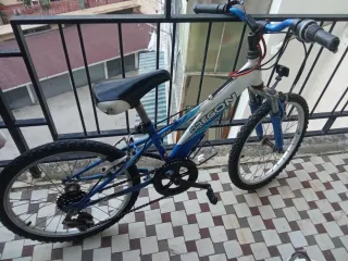 Bicicleta niño Oregon 20