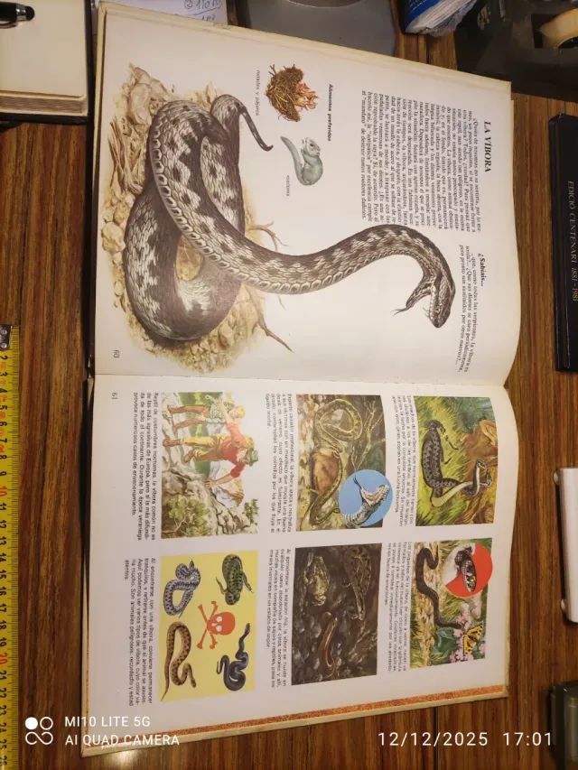 Libro Animales del Mundo