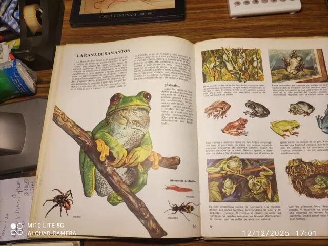 Libro Animales del Mundo