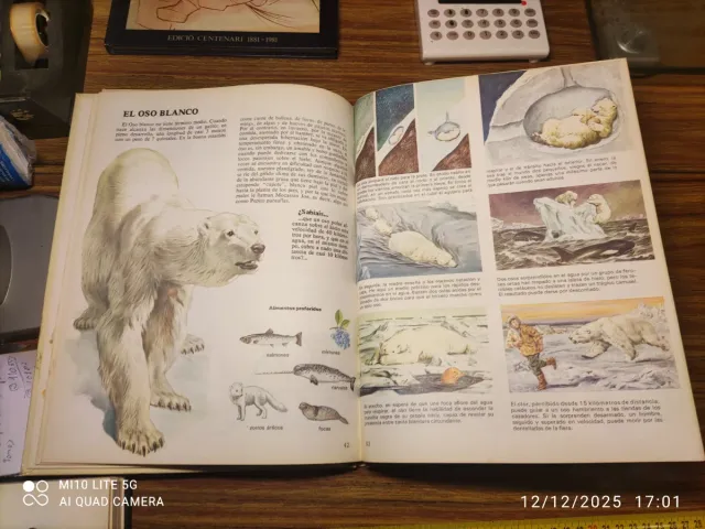 Libro Animales del Mundo