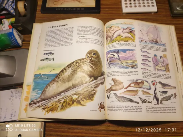 Libro Animales del Mundo
