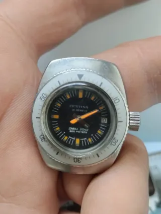 Reloj Festina Shell Star 200m