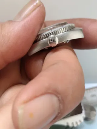 Reloj Festina Shell Star 200m