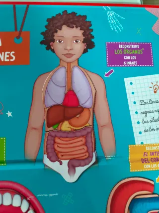 Libro y juego Cómo funciona mi cuerpo