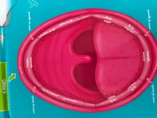 Libro y juego Cómo funciona mi cuerpo