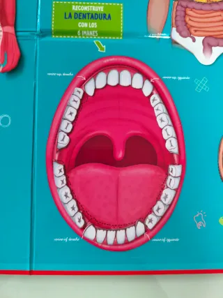 Libro y juego Cómo funciona mi cuerpo