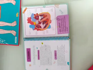 Libro y juego Cómo funciona mi cuerpo