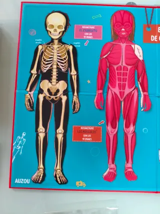 Libro y juego Cómo funciona mi cuerpo