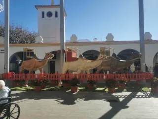 atención y cuidados, personas mayores busco empleo