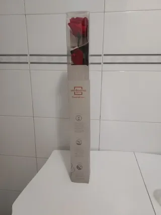 Rosa preservada Verdissimo