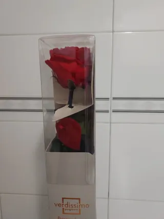 Rosa preservada Verdissimo