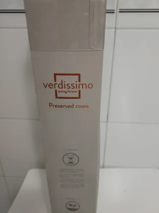 Rosa preservada Verdissimo